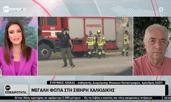 Ο Ευθύμιος Λέκκας, καθηγητής Διαχείρισης Φυσικών Καταστροφών ΕΚΠΑ, στο ΕΡΤnews