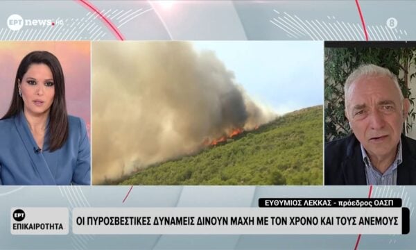 Ο Ευθύμιος Λέκκας – Πρόεδρος ΟΑΣΠ στο ΕΡΤnews