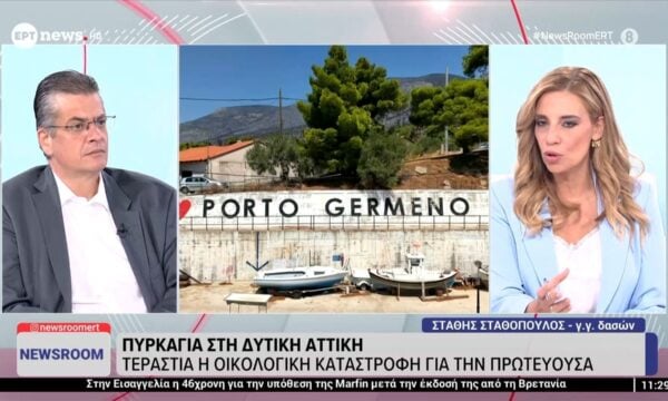 Ο γ.γ. δασών Στάθης Σταθόπουλος στο ΕΡΤnews