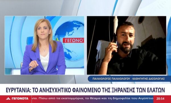 Ο Καθηγητής Τμήματος Δασολογίας και Διαχείρισης Δασικού Περιβάλλοντος Γεωπονικού Πανεπιστημίου, Παλαιολόγος Παλαιολόγου στο STAR