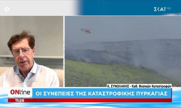Ο Κώστας Συνολάκης, καθηγητής φυσικών καταστροφών, μιλάει για τις συνέπειες των πυρκαγιών