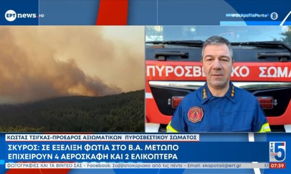 Ο Κώστας Τσίγκας ( Πρόεδρος Αξιωματικών Πυροσβεστικού Σώματος) στο ΕΡΤnews