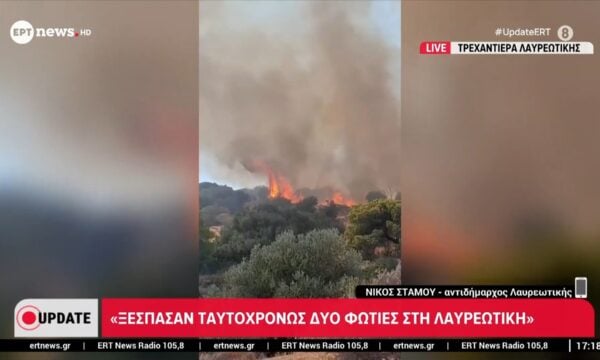 Ο Νίκος Στάμου, Αντιδήμαρχος Λαυρεωτικής, στο ΕΡΤnews για την εξέλιξη της πυρκαγιάς