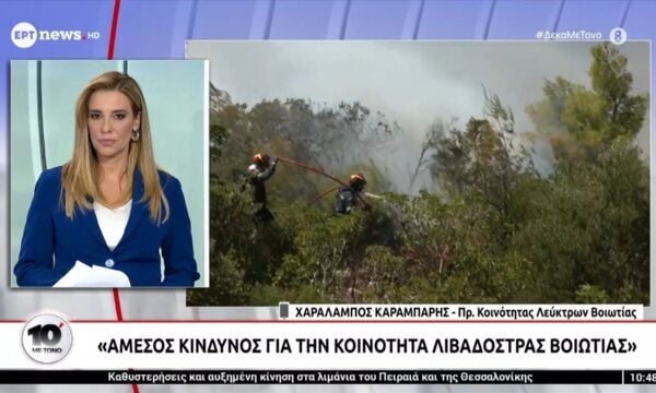 Ο Πρ. Κοινότητας Λεύκτρων Βοιωτίας, Χαράλαμπος Καραμπάρης,  στο ERTNews