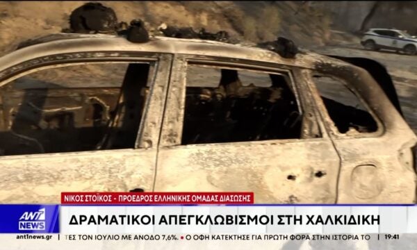 Ο πρόεδρος της Ελληνικής Ομάδας Διάσωσης Χαλκιδικής στον ΑΝΤ1