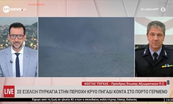 Ο πρόεδρος της Ένωσης Αξιωματικών ΠΣ Κώστας Τσίγκας στο ΕΡΤnews για τα πύρινα μέτωπα στη χώρα