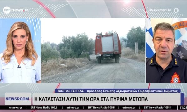 Ο πρόεδρος της Ένωσης Αξιωματικών ΠΣ Κώστας Τσίγκας στο ΕΡΤnews για την κατάσταση στα πύρινα μέτωπα