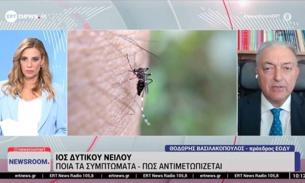 Ο πρόεδρος του ΕΟΔΥ Θοδωρής Βασιλακόπουλος στο ΕΡΤnews