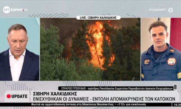 Ο Στράτος Γιτσούδης, πρόεδρος Πανελληνίου Σωματείου Πυροσβεστικών Δασικών Επιχειρήσεων, στο ΕΡΤnews