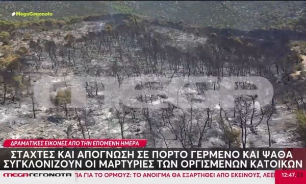 Οδυνηρός απολογισμός της πύρινης λαίλαπας σε Βοιωτία και Δυτική Αττική – Στάχτη περιουσίες & περιβαλλοντικός πλούτος