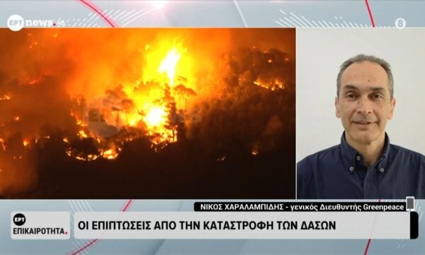 Οι επιπτώσεις από την καταστροφή των δασών – Νίκος Χαραλαμπίδης, γενικός Διευθυντής Greenpeace