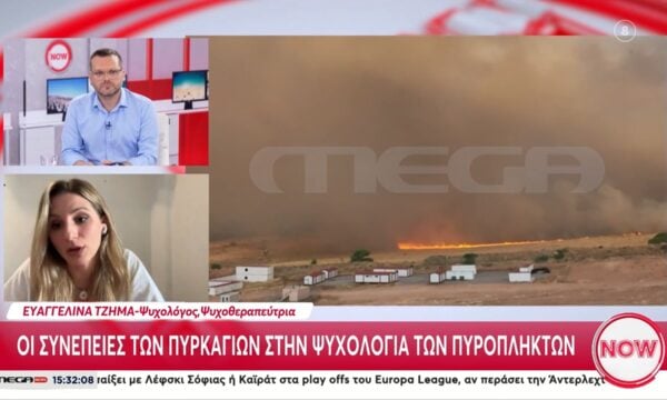 Οι συνέπειες των πυρκαγιών στην ψυχολογία των πυρόπληκτων