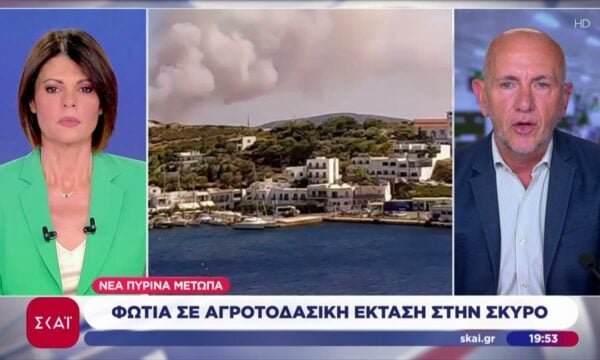 Ολοκληρώθηκαν 325 αυτοψίες σε πυρόπληκτες περιοχές – Νέα πύρινα μέτωπα σε Σκύρο και Κρήνη Φαρσάλων