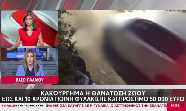 Οργή και αποτροπιασμός για τις κτηνωδίες ζώων σε Κέρκυρα και Ζάκυνθο – Τι ποινές προβλέπονται για την κάθε περίπτωση