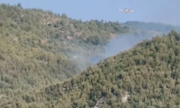 Οριοθετήθηκε η φωτιά στον Ωρωπό: Συνεχίζονται οι ρίψεις νερού από πυροσβεστικά αεροσκάφη