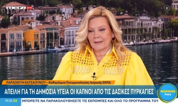 Π. Κατσαούνου: Όσοι επιστρέψουν τις περιουσίες τους μετά τις φωτιές θα πρέπει να φοράνε μάσκες ύψιστης ασφάλειας