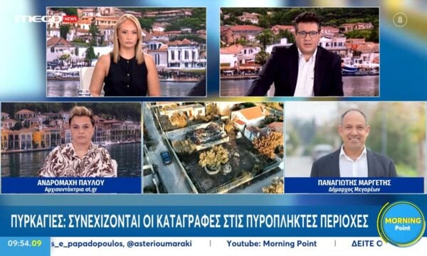 Π. Μαργετής: «Από τα 100 χιλ. στρέμματα που έχει ο δήμος Μεγαρέων έχουν καεί τα 75 χιλ.»