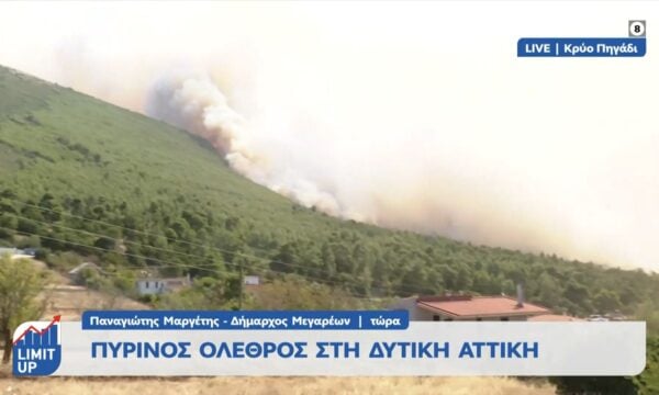 Παναγιώτης Μαργέτης, Δήμαρχος Μεγαρέων: Ανεξέλεγκτες εστίες σε πολλές περιοχές
