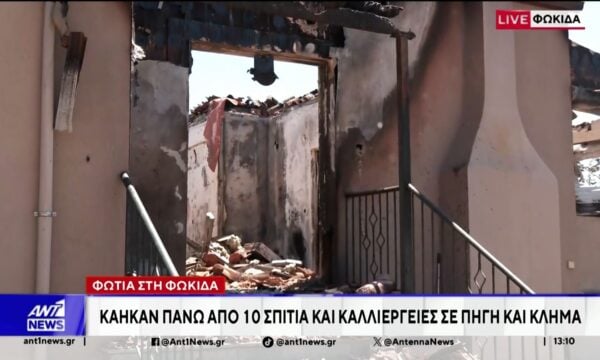 Πάνω από 10 καμμένα σπίτια στη Φωκίδα, ο τραγικός απολογισμός της φωτιάς