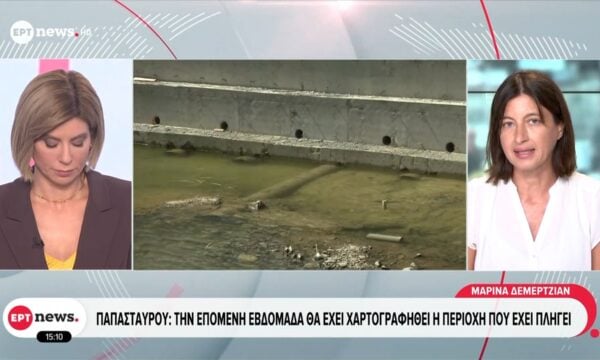 Παπασταύρου: Την επόμενη εβδομάδα θα έχει χαρτογραφηθεί η περιοχή που έχει πληγεί