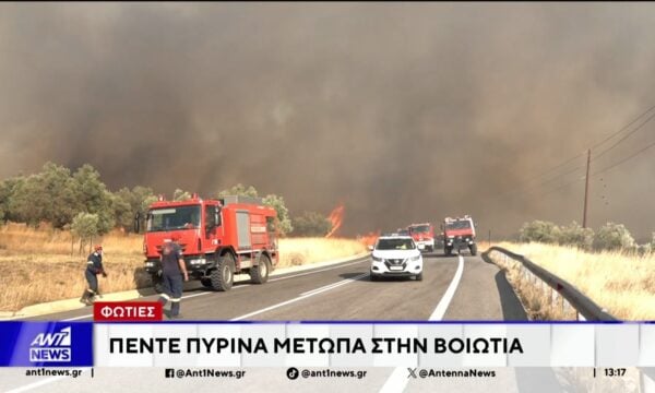 Περισσότεροι από 700 πυροσβέστες δίνουν τη μάχη με τις φλόγες στα μέτωπα της Βοιωτίας και της Αιγιάλειας