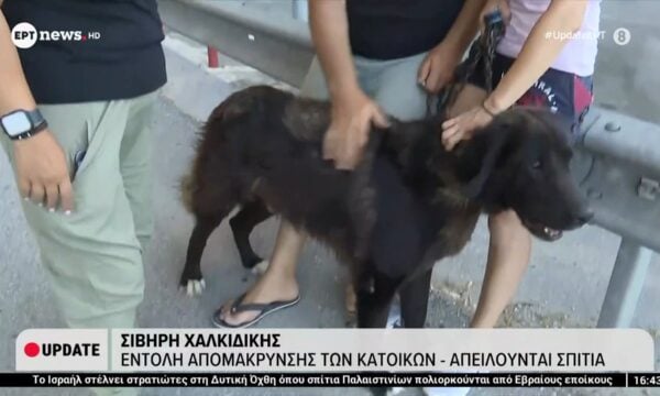 Πληγέντες της φωτιάς στη Σίβηρη Χαλκιδικής στο ΕΡΤnews