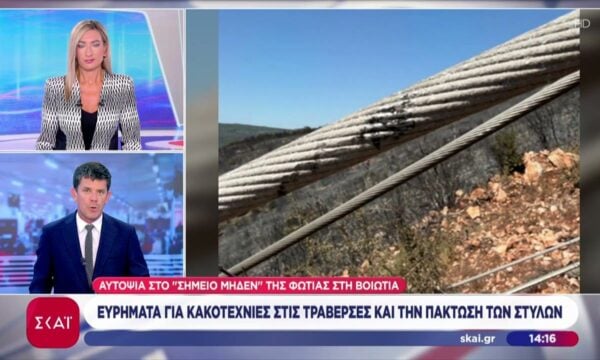 Ποια είναι τα ευρήματα των Αρχών για τα αίτια που οδήγησαν στις μεγάλες φωτιές σε Βοιωτία και Χαλκιδική