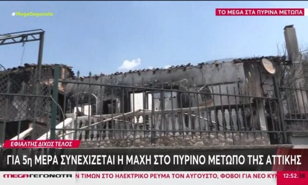 Πόρτο Γερμανό: Ανυπολόγιστες οι καταστροφές από την πύρινη λαίλαπα