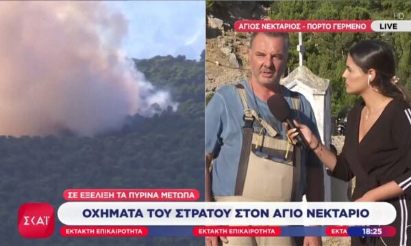 Πόρτο Γερμενό: Φιλοζωική ομάδα στους οικισμούς για να διασώσει ανυπεράσπιστα ζώα