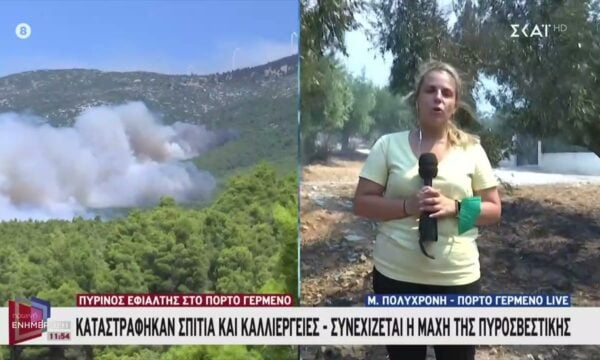 Πόρτο Γερμενό: Καταστράφηκαν σπίτια και καλλιέργειες – Συνεχίζεται η μάχη της πυροσβεστικής