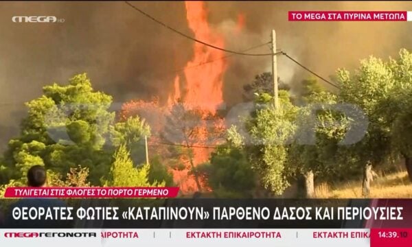 Πόρτο Γερμενό: Θεόρατες φωτιές «καταπίνουν» παρθένο δάσος και περιουσίες