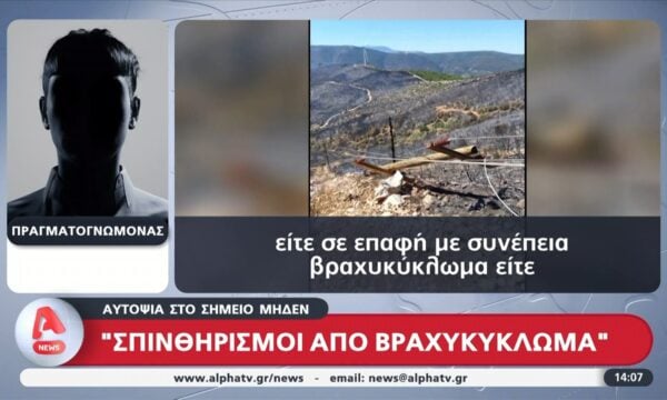 Πραγματογνώμονας για φωτιά στη Βοιωτία: «Σπινθηρισμοί από βραχυκύκλωμα»