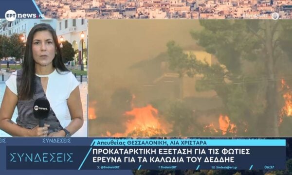 Προκαταρκτική εξέταση για τις φωτιές – Έρευνα για τα καλώδια του ΔΕΔΔΗΕ