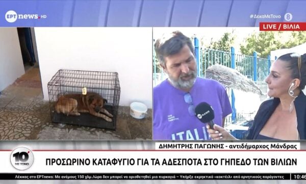 Προσωρινό καταφύγιο για τα αδέσποτα στο γήπεδο των Βιλίων