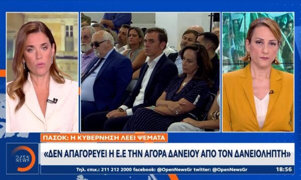 Πρόταση Ανδρουλάκη για δυνατότητα αγοράς του δανείου από τους δανειολήπτες