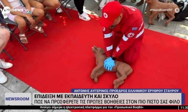 Πρώτες βοηθειες για… σκύλους!