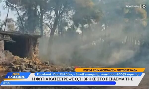 Ψάθα: Απίστευτη εικόνα απο το πέρασμα της φωτιάς – Μάχη για να γλυτώσει μέρος του δάσους