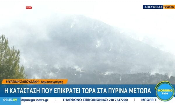 Ψάθα: Εναέρια μέσα στη μάχη με τις αναζωπυρώσεις