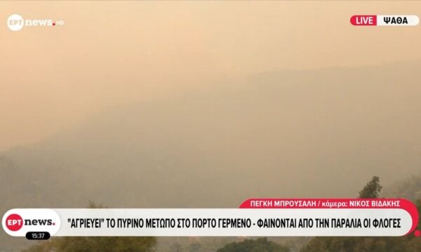 Ψάθα: Φαίνονται από την παραλία οι φλόγες