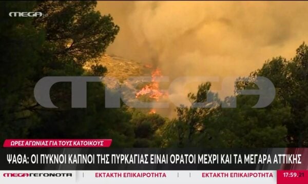 Ψάθα: Η πύρινη λαίλαπα καίει τα πάντα στο πέρασμά της – Γίνεται εκκένωση προς Μέγαρα