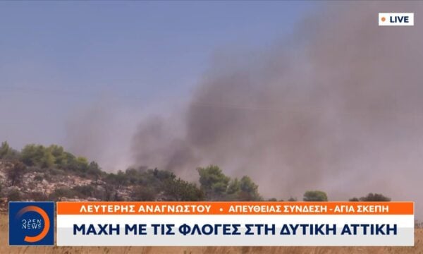 Ψάθα: Σε εξέλιξη η μάχη με τις φλόγες