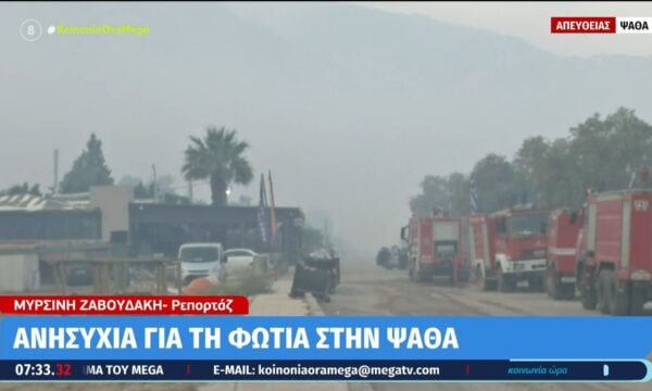 Ψάθα: Σε επιφυλακή οι αρχές για αναζωπυρώσεις