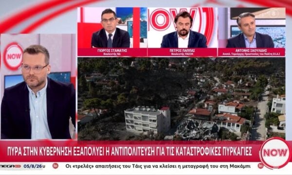 Πυρά στην κυβέρνηση για τις καταστροφικές πυρκαγιές