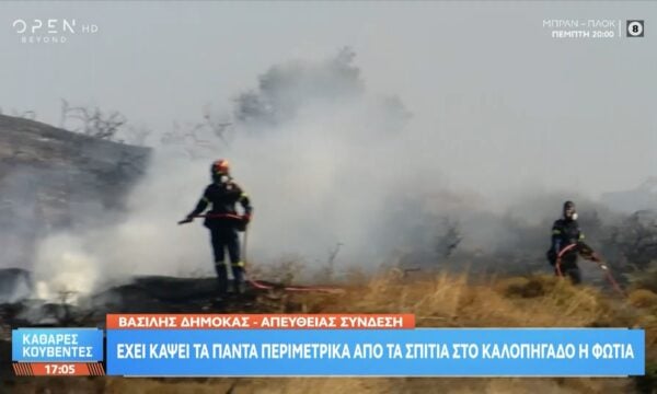 Πύρινα μέτωπα σε εξέλιξη στη Βοιωτία και στην Κερατέα – Φωτιά ξέσπασε στη Σαλαμίνα