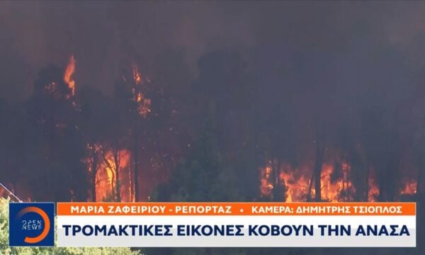 Πύρινη κόλαση στην Χαλικιδική: Καήκαν σπίτια – Δραματική απομάκρυνση κατοίκων δια θαλάσσης