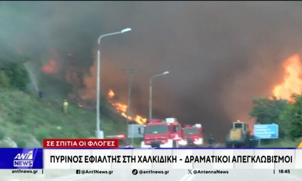 Πύρινος εφιάλτης στη Χαλκιδική: Οι φλόγες έφτασαν σε σπίτια