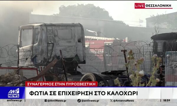 Πυρκαγιά εκδηλώθηκε νωρίτερα σε επιχείρηση στο Καλοχώρι της Θεσσαλονίκης