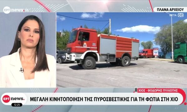 Πυρκαγιά σε δασική έκταση στην περιοχή Βίκι της Χίου