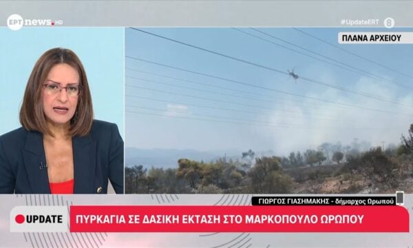 Πυρκαγιά σε δασική έκταση στο Μαρκόπουλο Ωρωπού
