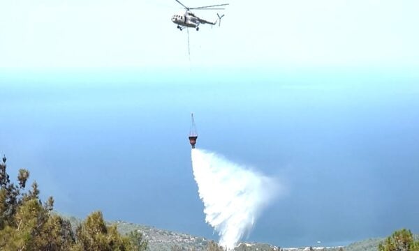 Πυρκαγιά στην περιοχή Βίκι της Χίου